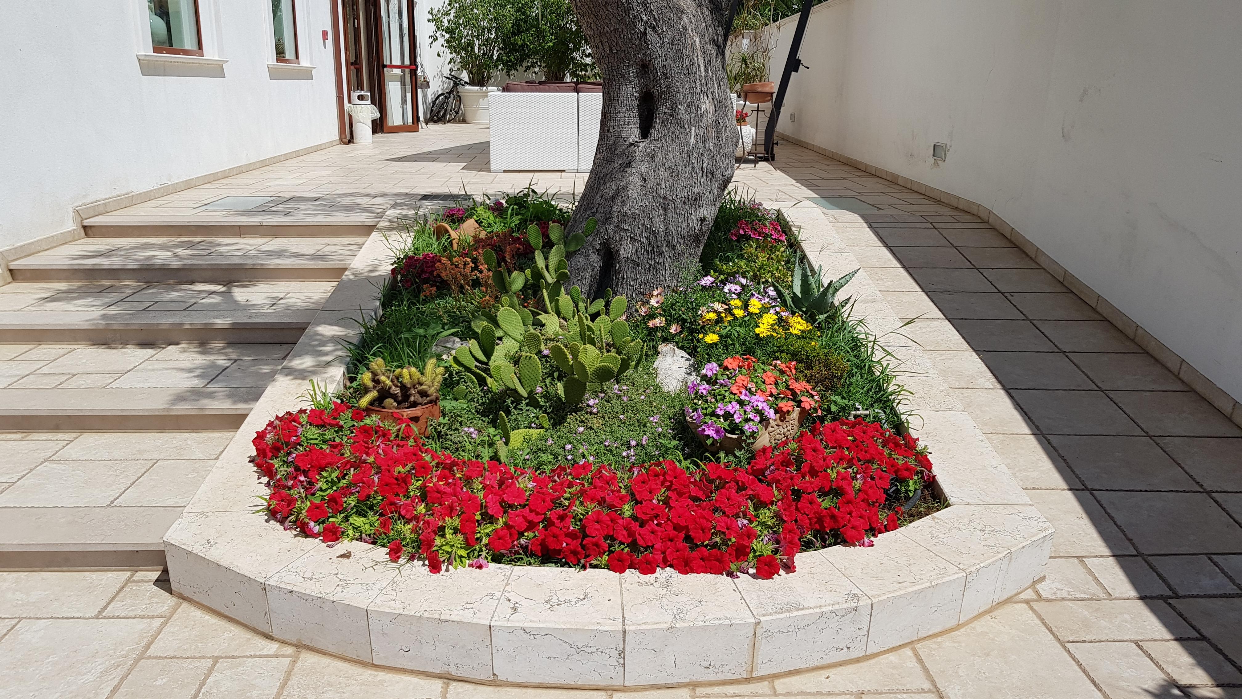 Hotel Victoria Torre Santa Sabina Dış mekan fotoğraf