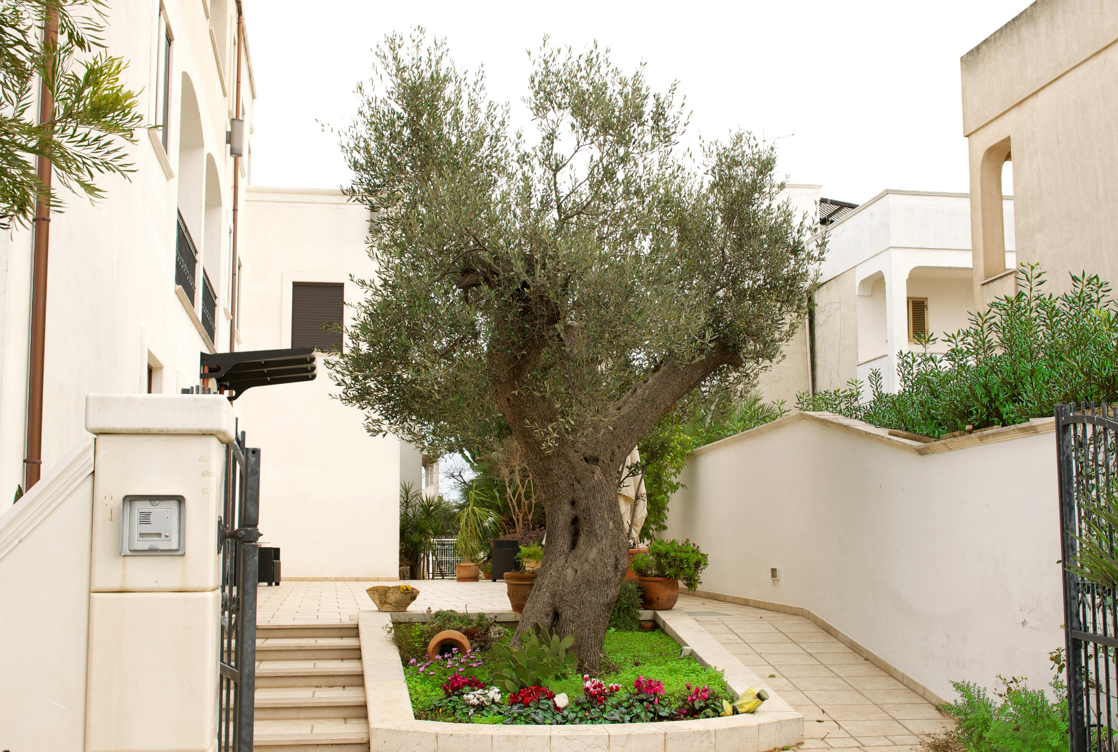Hotel Victoria Torre Santa Sabina Dış mekan fotoğraf